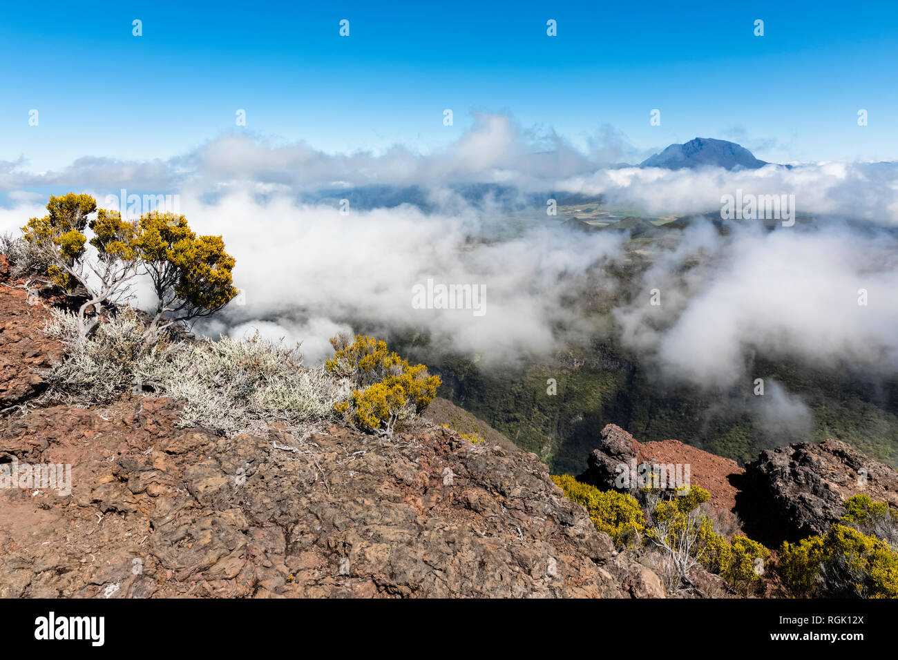 Reunion, Reunion National Park, Route forestiere du Volcan, View from Riviere des Remparts and Piton des Neiges Stock Photo