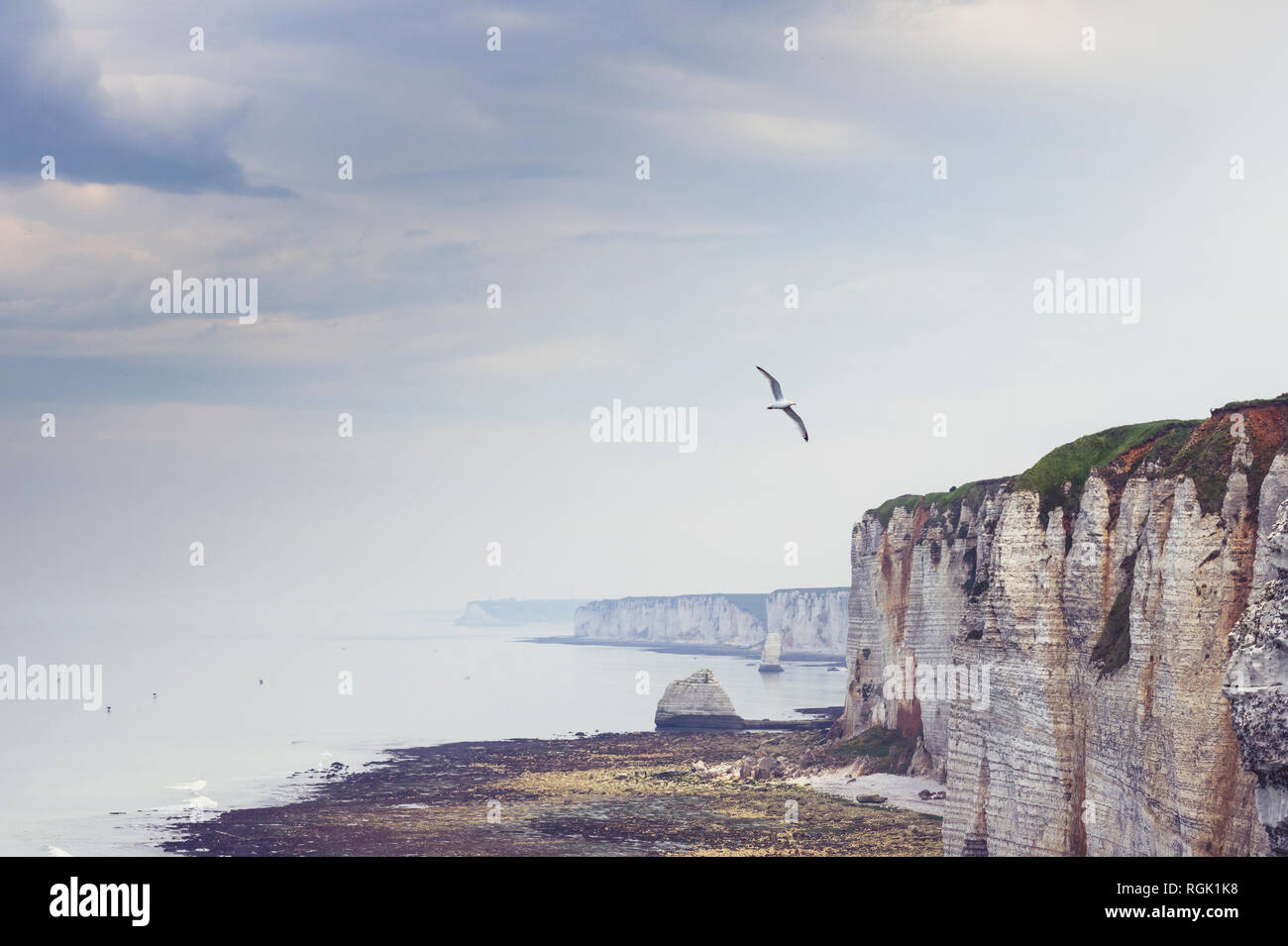 Alabasterküste bei Etretat, Normandie, frankreich Stock Photo