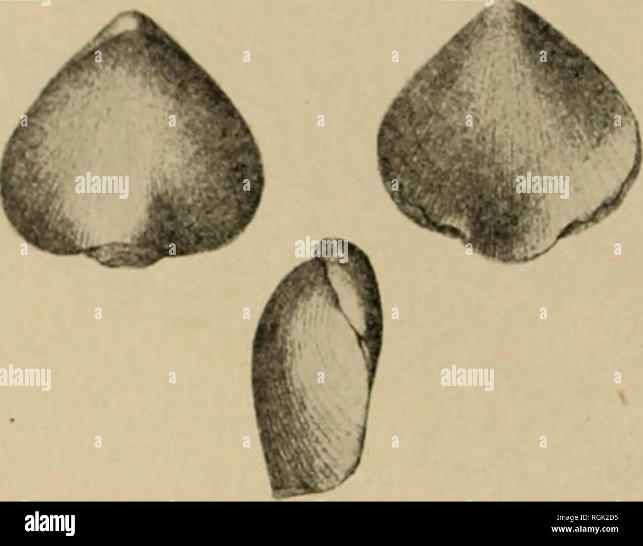 Page 6 U Mii High Resolution Stock Photography And Images Alamy