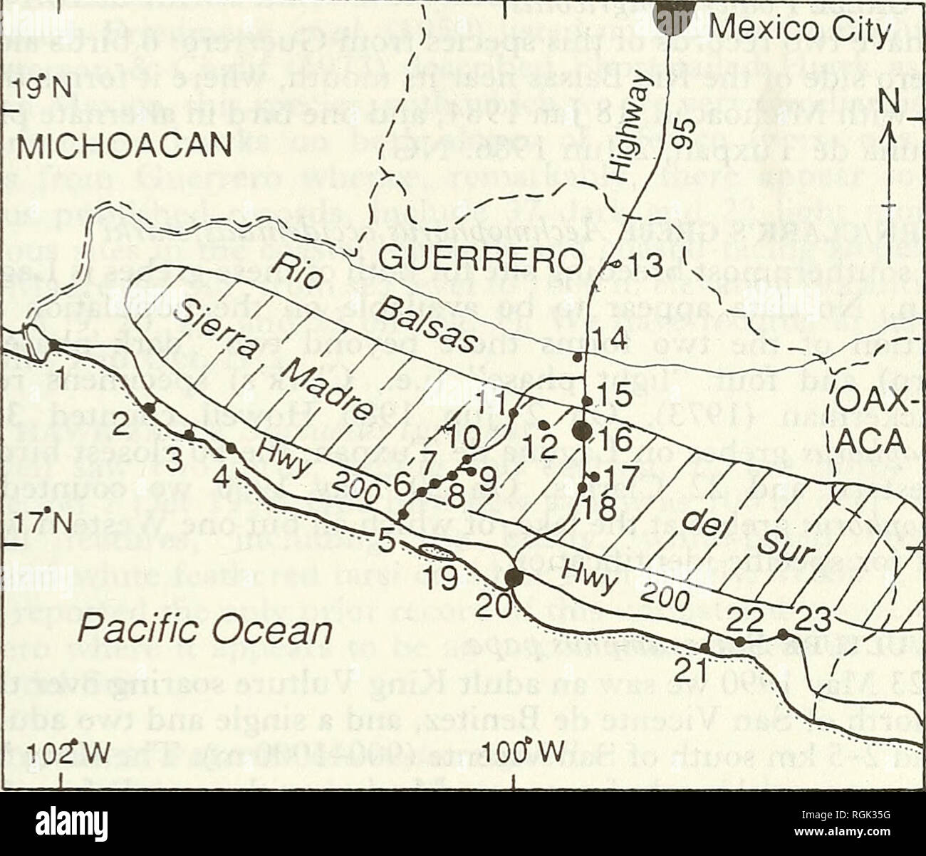 . Bulletin of the British Ornithologists' Club. Birds. 5. AT. G. Howell &amp; S. Webb 233 Bull. B.O.C. 1994 114(4)  r Mexico City 1STN MICHOACAN. Pacific Ocean 10?W Figure 1. The state of Guerrero, Mexico, showing places mentioned in the species accounts. 1, Petacalco; 2, Zihuatanejo; 3, Barra de Potosi; 4, Petatlan; 5, Atoyac; 6, Rio Santiago; 7, San Vicente de Benitez; 8, Paraiso; 9, Arroyo Grande; 10, Nueva Delhi; 11, Filo de Caballo; 12, Omiltemi; 13, Laguna de Tuxpan 14, Mexcala; 15, Zumpango del Rio; 16, Chilpancingo; 17, Acahuizotla; 18, Agua de Obispo; 19, Laguna Mitla; 20, Acapulco;  Stock Photo