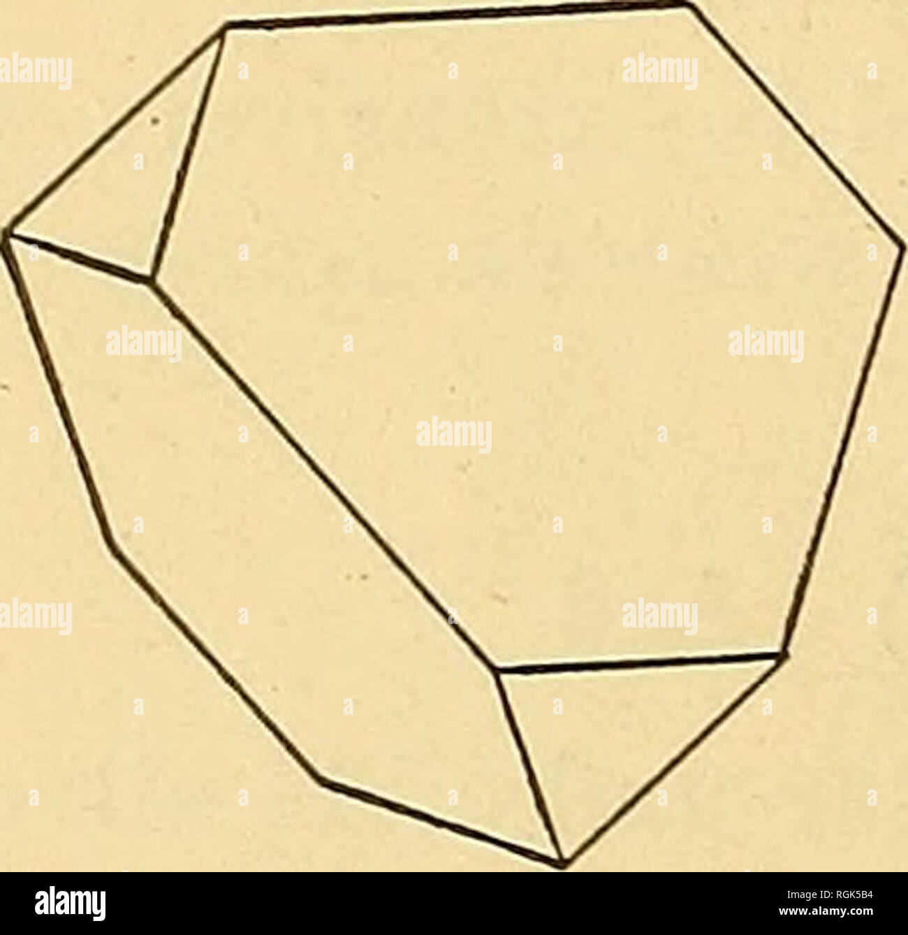 . Bulletin New York State Museum. Science. 54 NEW IORK STATE MUSEUM