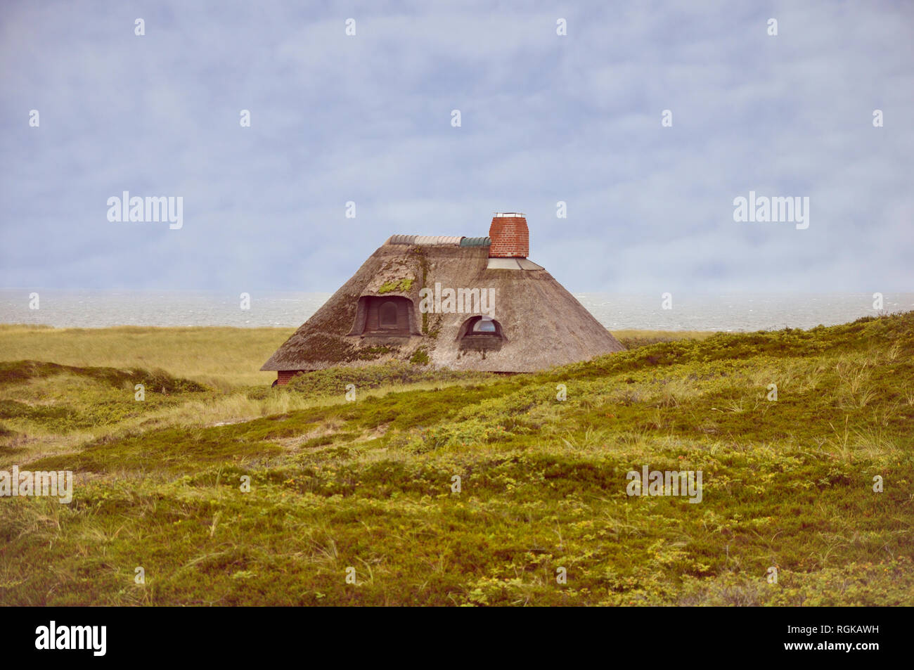 Thached roof in moss-covered dunes vintage style by jziprian Stock Photo