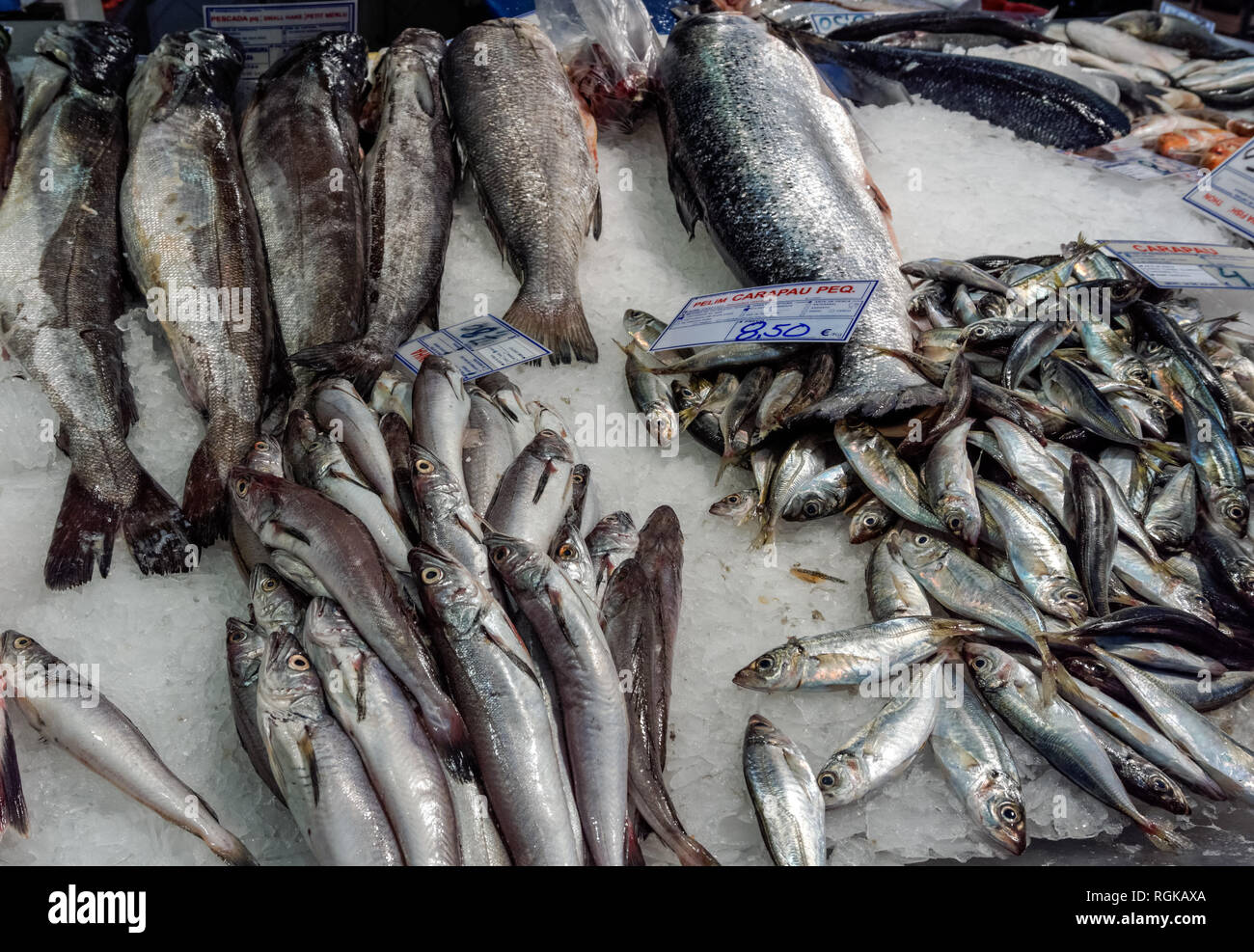 Fishmonger's stall at the Mercado da Ribeira (Ribeira Market) in Lisbon, Portugal Stock Photo