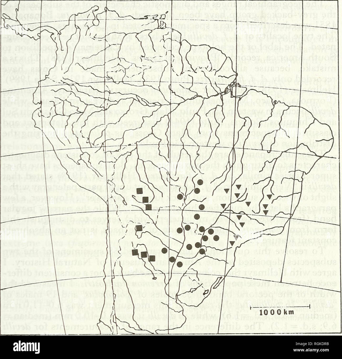 . Bulletin of the British Ornithologists' Club. Birds. Jf. M. Cardoso da Siha 153 Bull.B.O.C. 1991 111(3). Figure 1. Distribution of Arremon flavirostris: T, A. f. flavirostris; #, A. f. polionotus; â . A.f. dorbignii. The last comprehensive review of the geographical variation of A. flavirostris was carried out by Hellmayr (1938), who recognized two groups of subspecies: the green-backed group {flavirostris and dorbignii) and the grey-backed group {polionotus and devilli). The taxonomy of the green-backed group is well resolved. A. f. flavirostris Swainson, 1837 is characterized by white supe Stock Photo