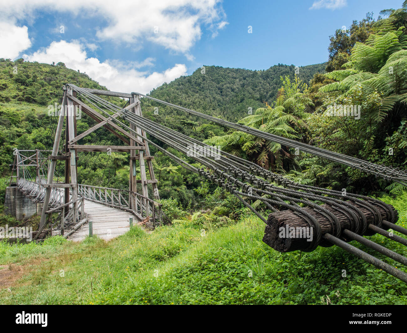 Tauranga Bridge, a harp suspension bridge, Tauranga Stream, Waioweka Gorge, East Coast, New Zealand Stock Photo