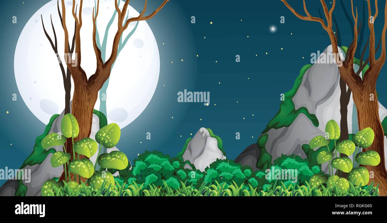 A forest at night illustration Stock Vector Image & Art - Alamy