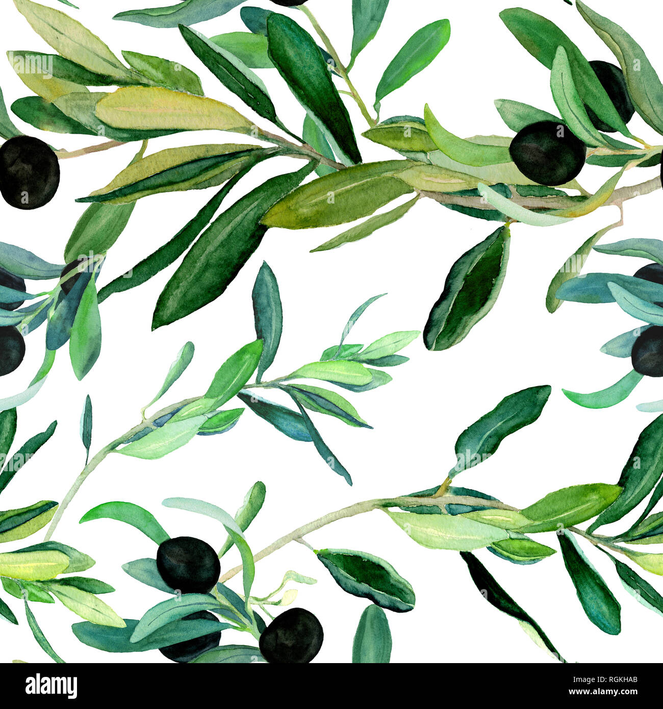 Watercolor olive branches pattern on white background. Hand drawn