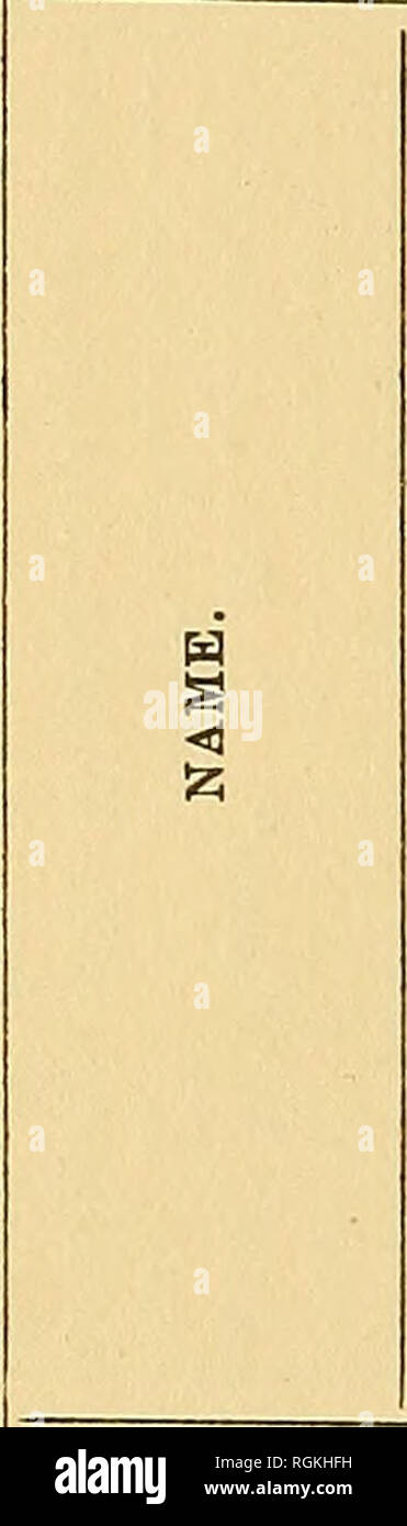Page 3 Mh 53 High Resolution Stock Photography And Images Alamy