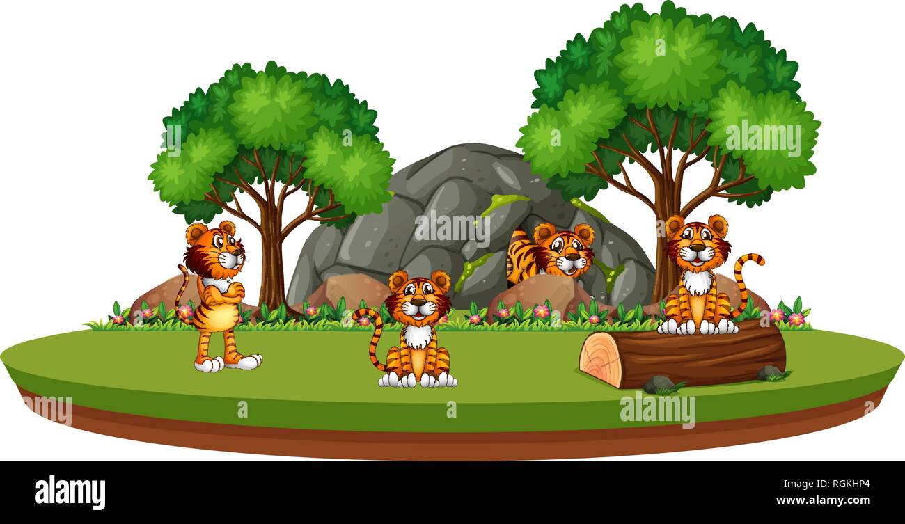 Tiger in isolated nature illustration Stock Vector Image & Art - Alamy