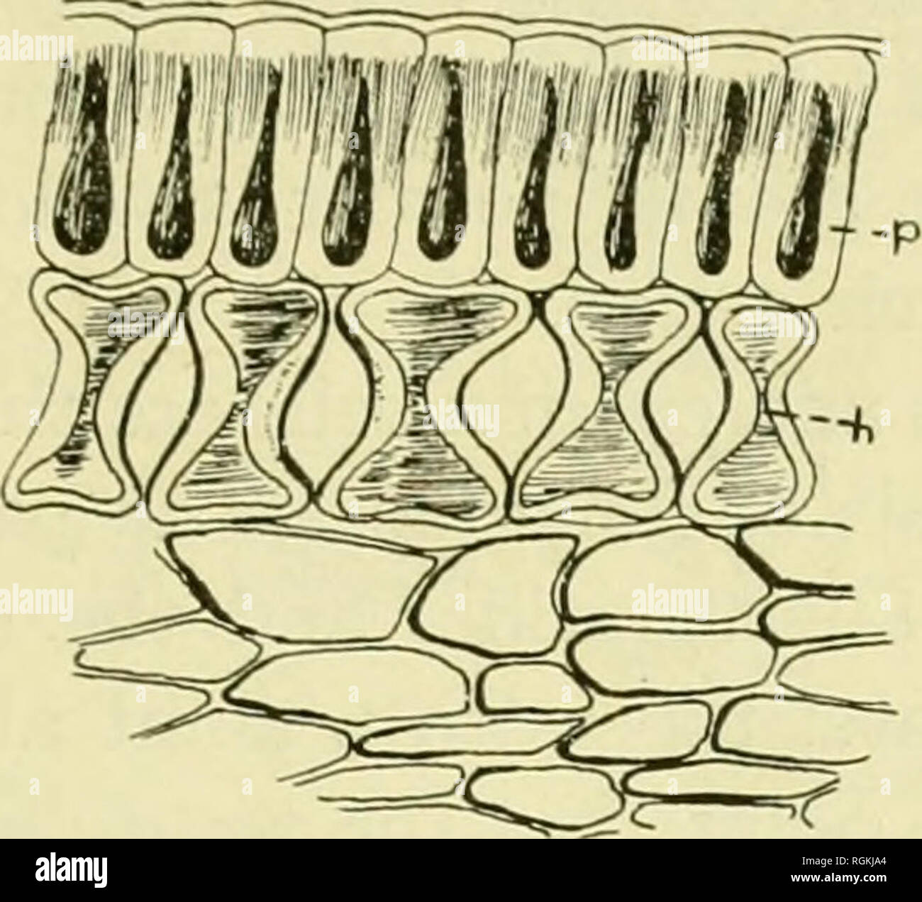 Col P Stock Photos Col P Stock Images Page 19 Alamy