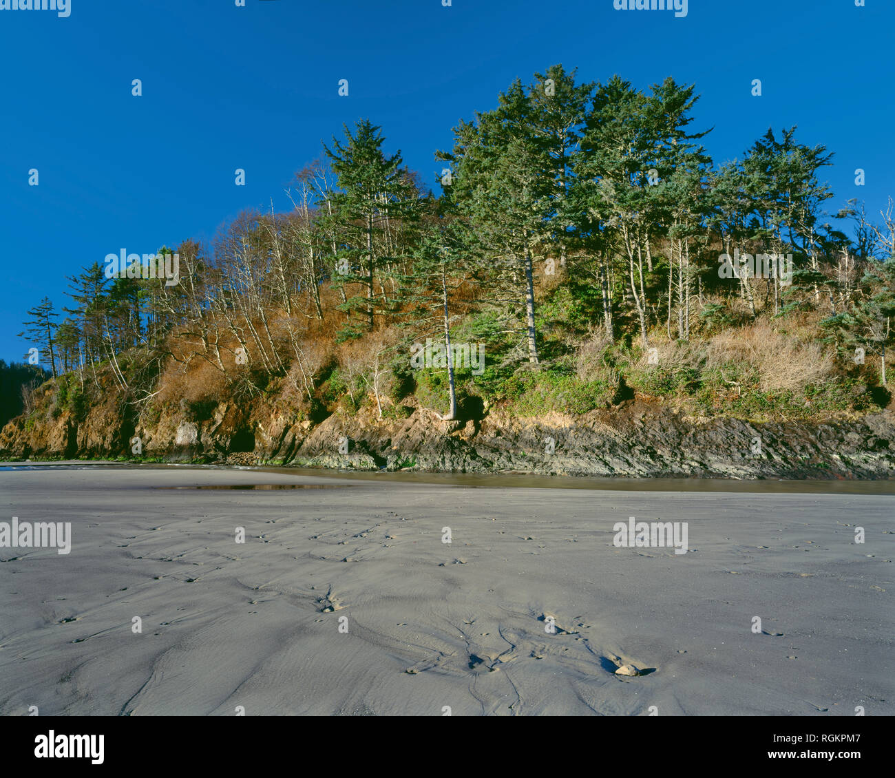 USA, Oregon, Neskowin Beach Wayside, Proposal Rock rises above patterned beach sand. Stock Photo