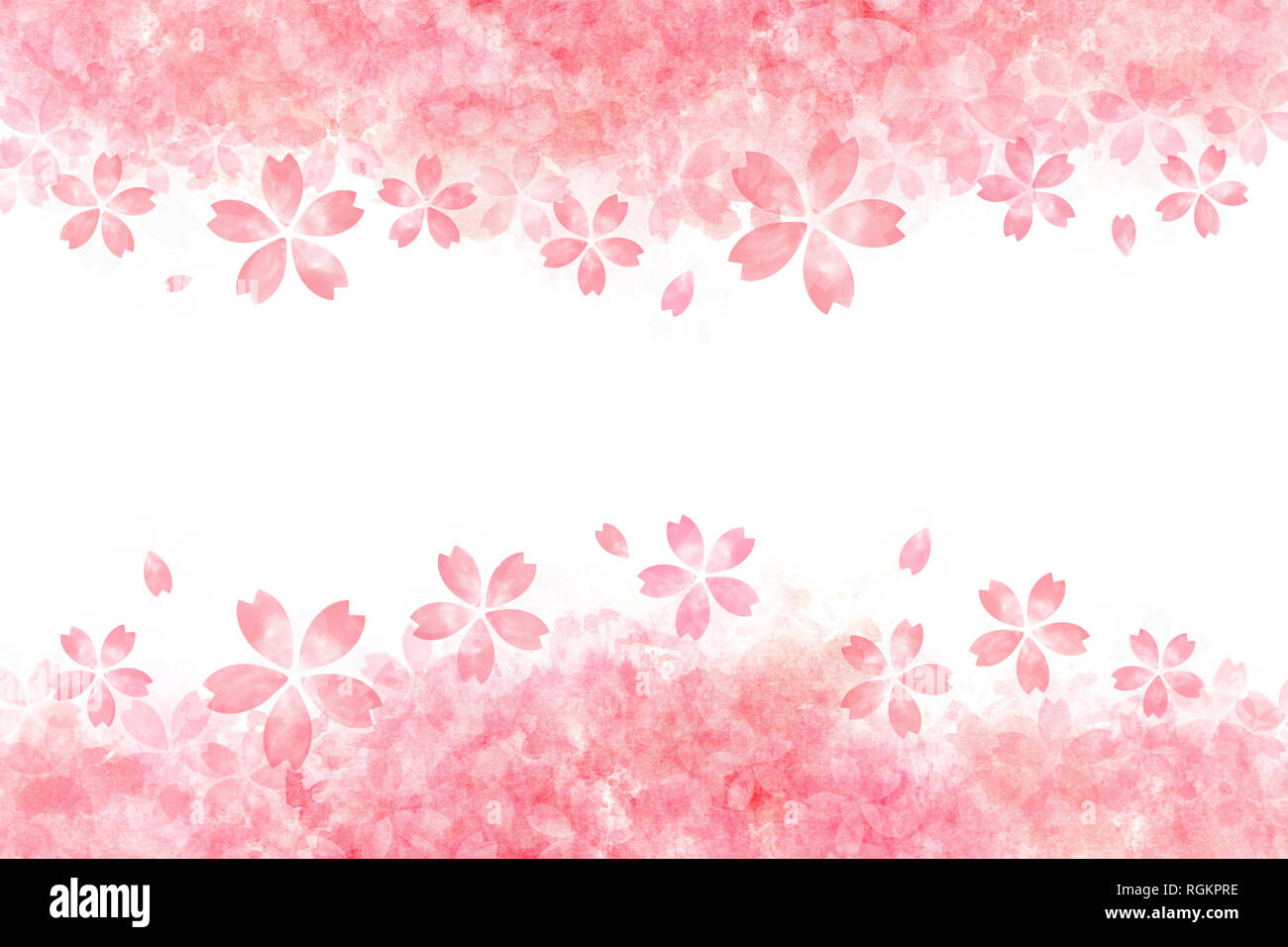 Japanese Pink Cherry Blossom Watercolor Abstract Or Vintage Paint