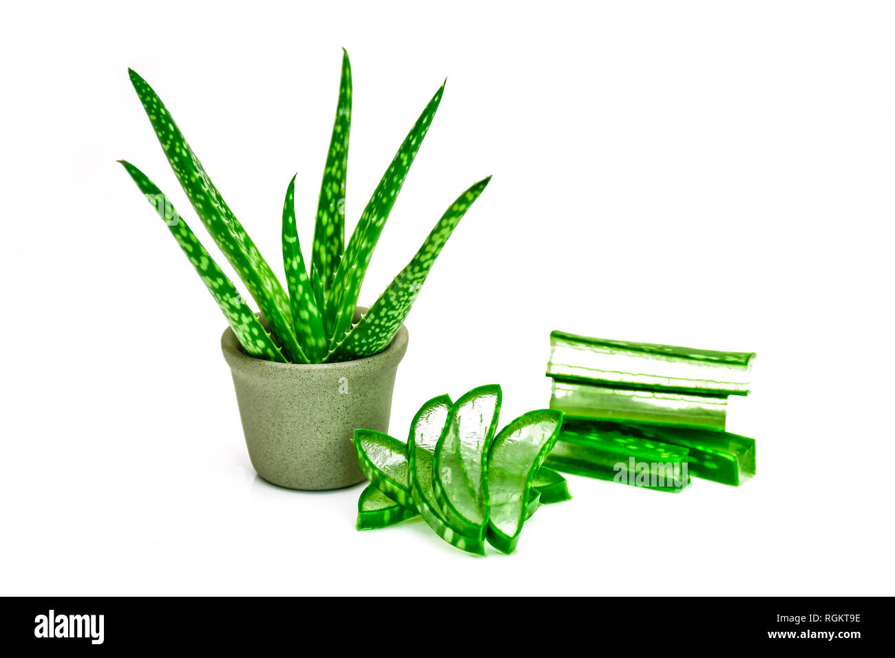 Aloe Vera Leaves And Cut Aloe Vera Leaves Shows Transparent Aloe