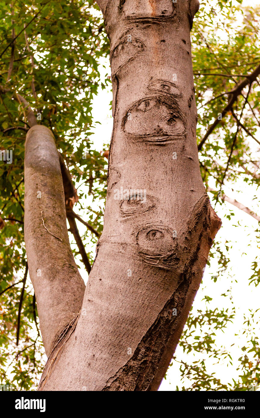 Interesting timber shapes hi-res stock photography and images - Alamy