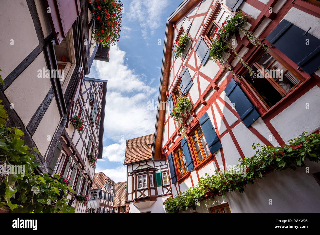 town Schiltach, Black Forest, Germany, narrow lane with half-timbered houses of a historical old town with wine and flower decoration Stock Photo