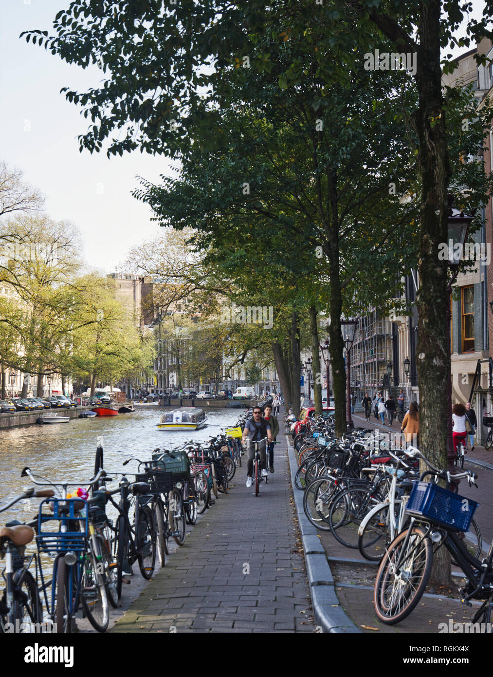Cycling amsterdam lane hires stock photography and images Alamy