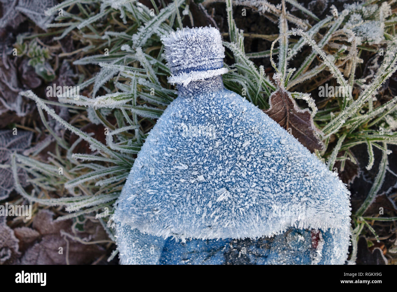 Advection frost hi-res stock photography and images - Alamy