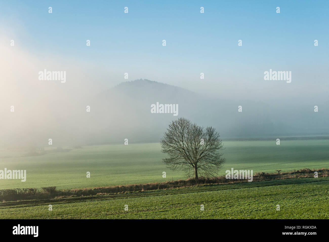 Herrock Hill (on the Offa's Dyke Path near Kington, Herefordshire, UK) rises above the fog on a cold winter morning Stock Photo