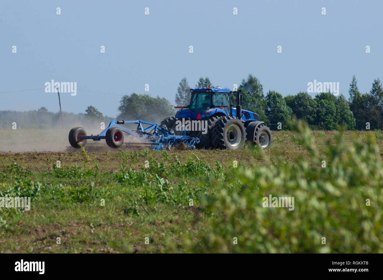 Blue tractor plowing the green field with an iron harrow in the plowing