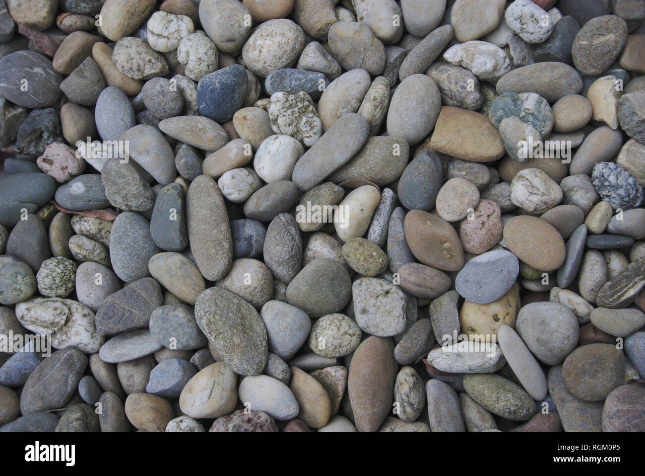 Many different stones in a garden Stock Photo