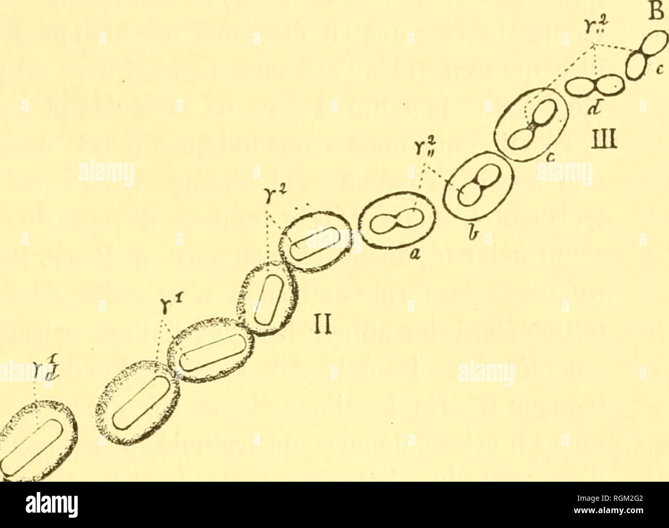 Page 10 - Da©tat High Resolution Stock Photography and Images - Alamy