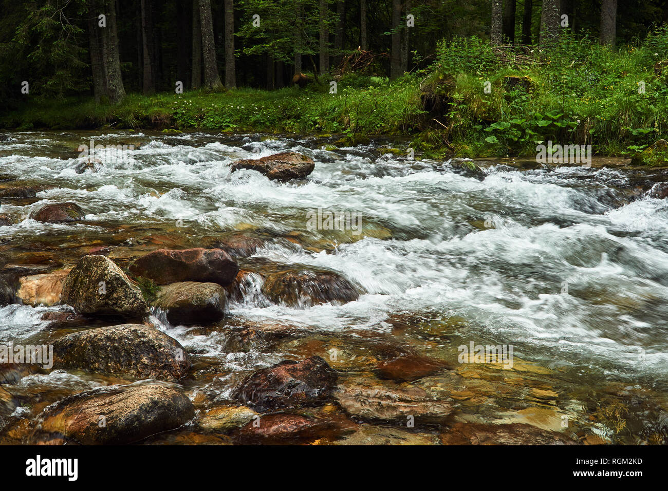 A mountain stream in the valley in the Tatra Mountains in Poland Stock ...