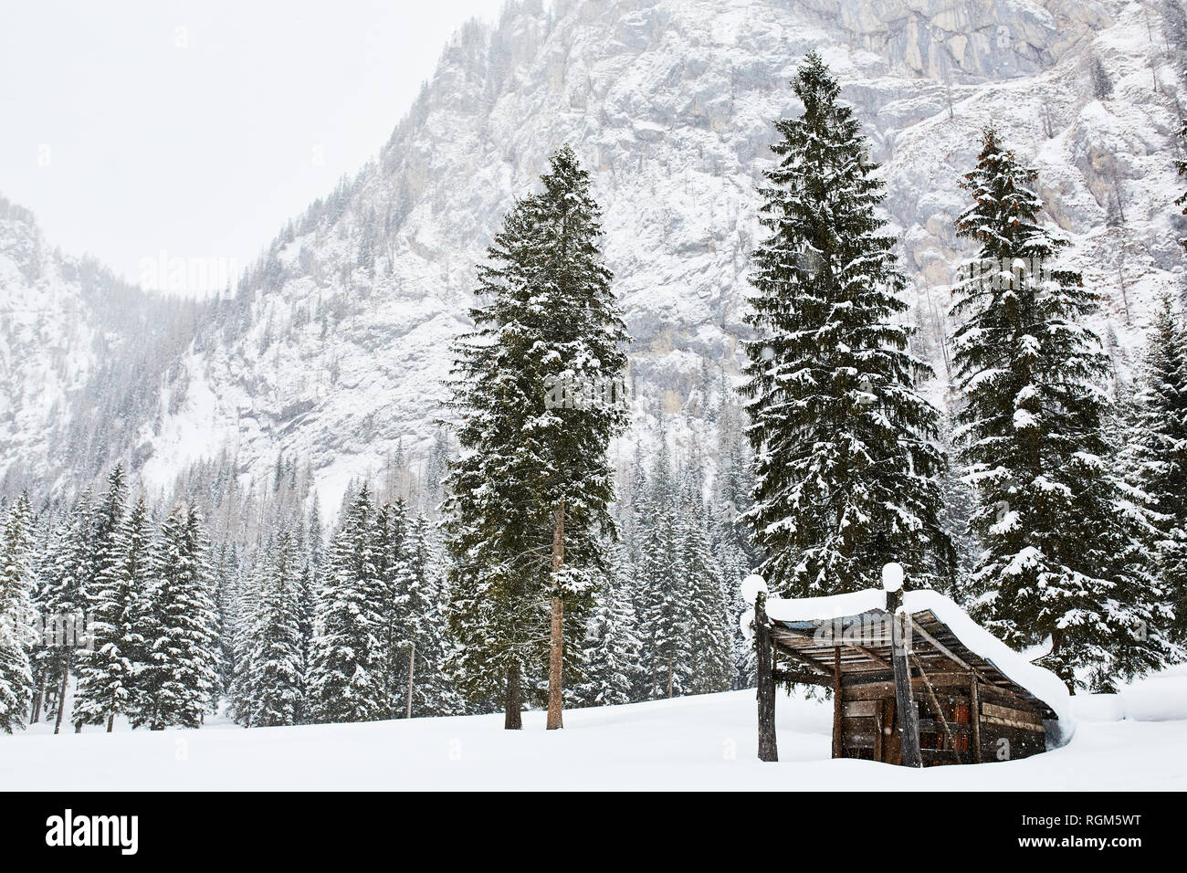 Snow covered wood hut in the Italian Dolomites Alps Stock Photo - Alamy