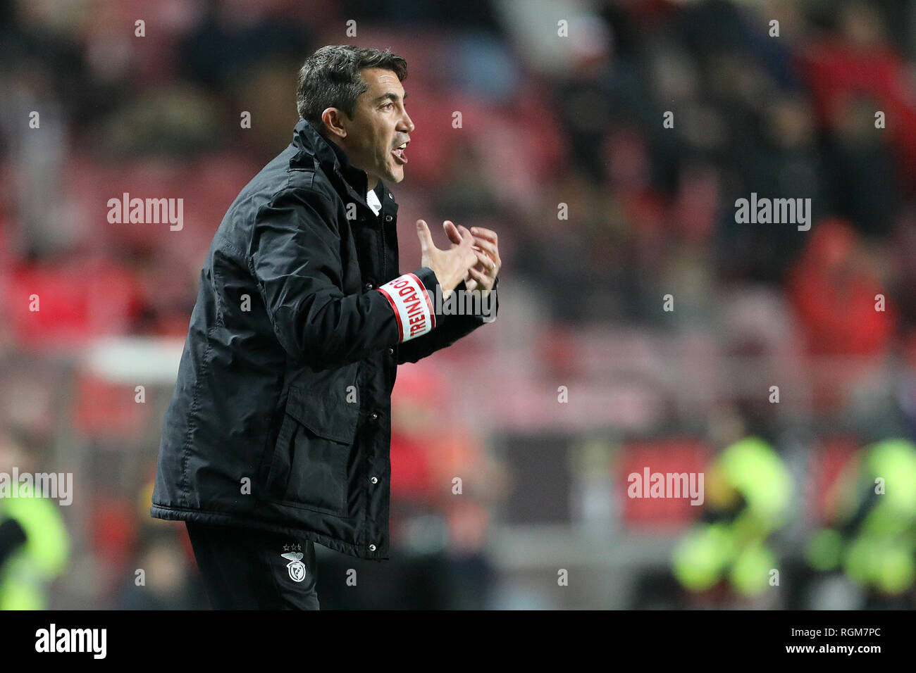 Bruno Lage Manager Of Sl Benfica Seen In Action During The League Nos 2018 19 Football Match Between Sl Benfica Vs Boavista Fc Final Score Sl Benfica 5 1 Boavista Fc Stock Photo Alamy