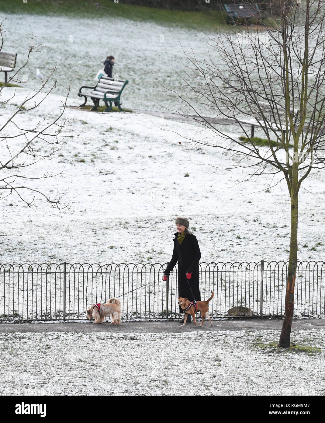 Brighton UK 30th January 2019 Dog walkers in the snow in Queens Park