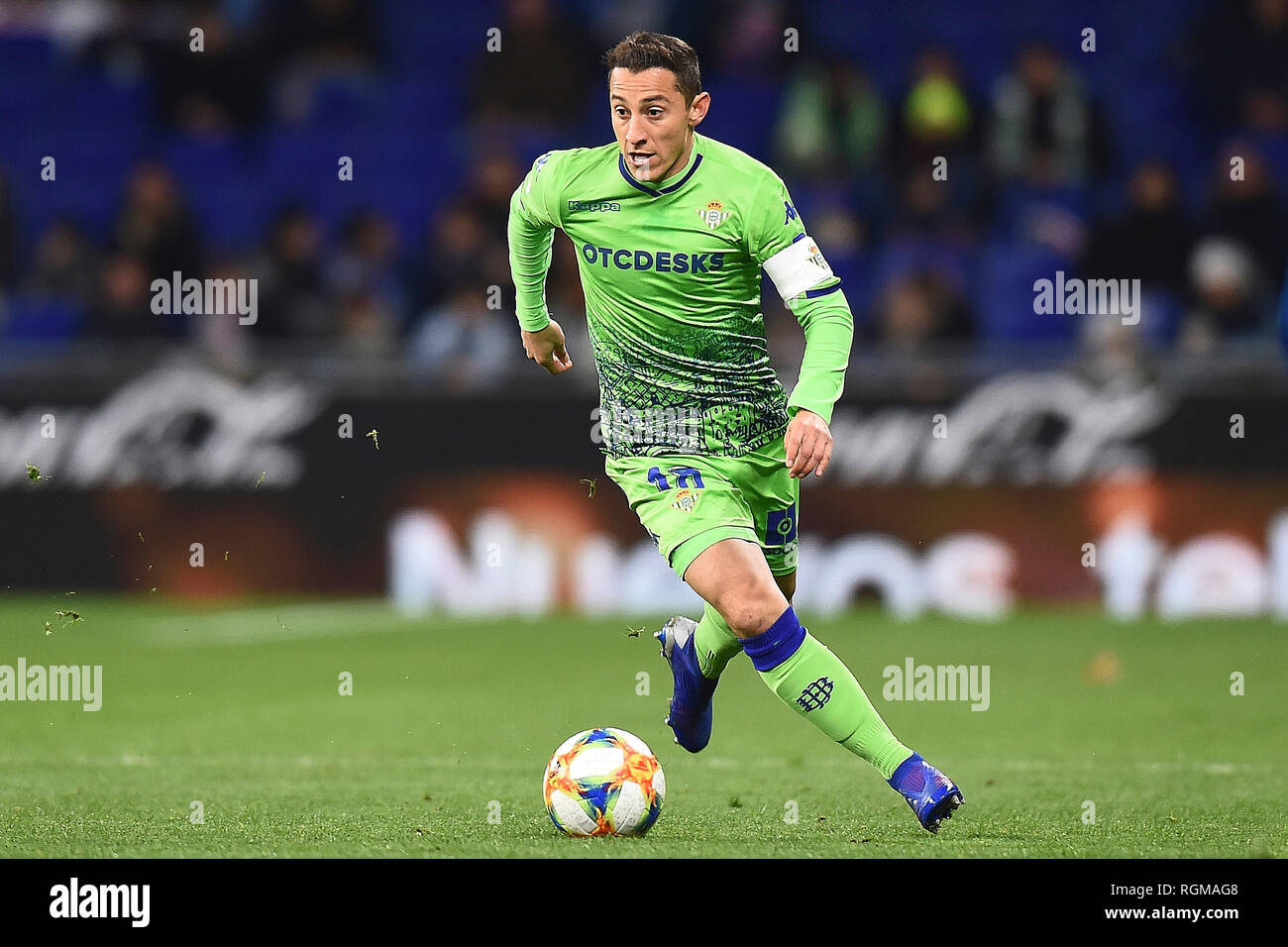 BARCELONA, 24-01-2019. Copa el Rey 2018/ 2019, round of 8 first leg.  Espanyol-Betis. Andres Guardado of Real Betis during the game Espanyol 1-1  Betis Stock Photo - Alamy