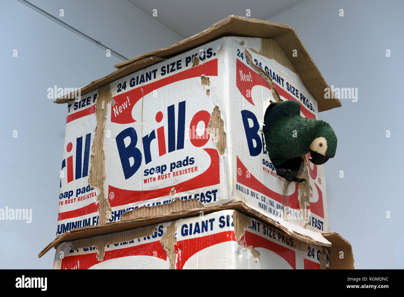 Brillo real shop