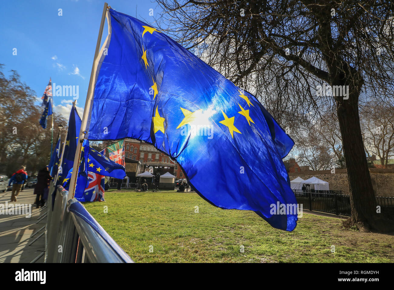 London, UK. 30th Jan, 2019. European flags placed  on fences by Pro Leave and Europe remain suppporters of  SODEM (Stand of Defiance European Movement) with placards on a Red Routemaster bus outside Parliament Credit: amer ghazzal/Alamy Live News Stock Photo