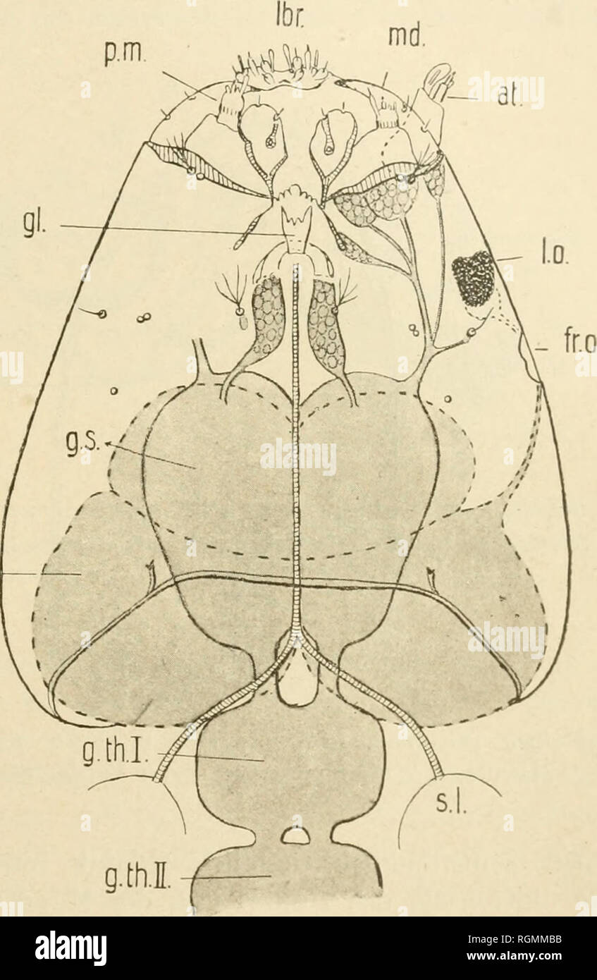 . Bulletin international. Resumés des travaux présentés. Science