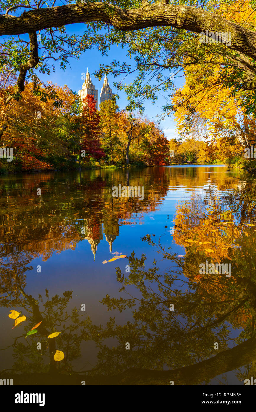 Foliage reflection on the Central Park lake Stock Photo - Alamy