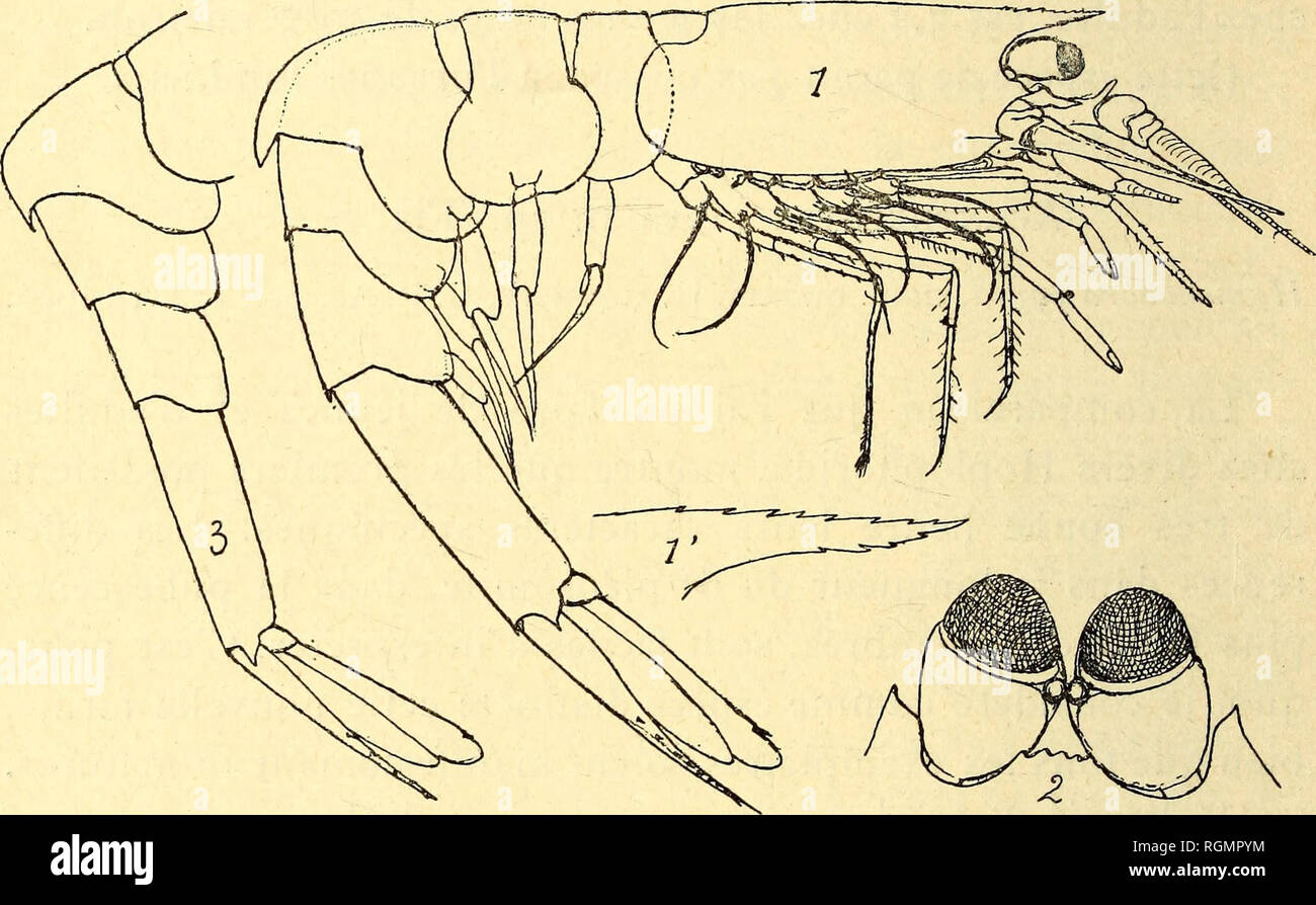 sac à dos imperméable jordan