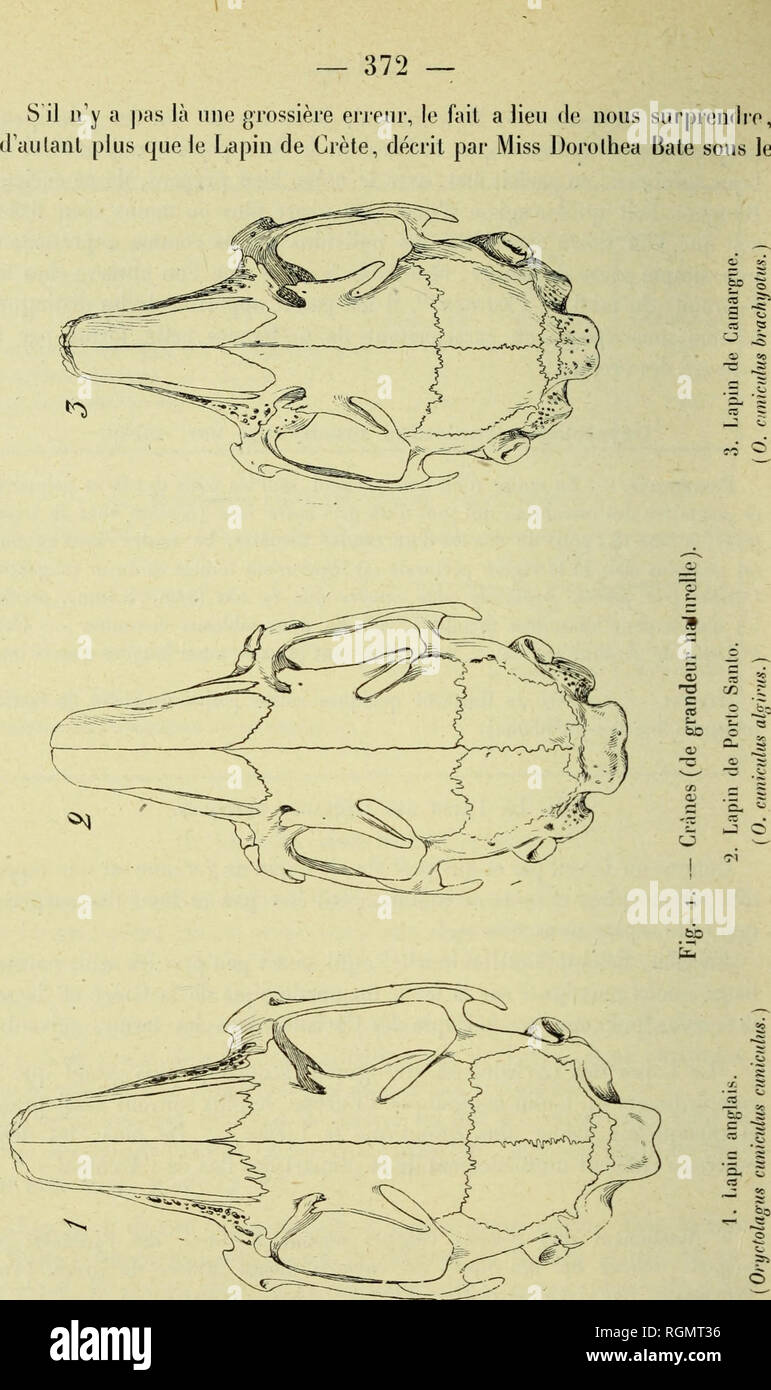 Bulletin Du Muse Um D Histoire Naturelle Natural History