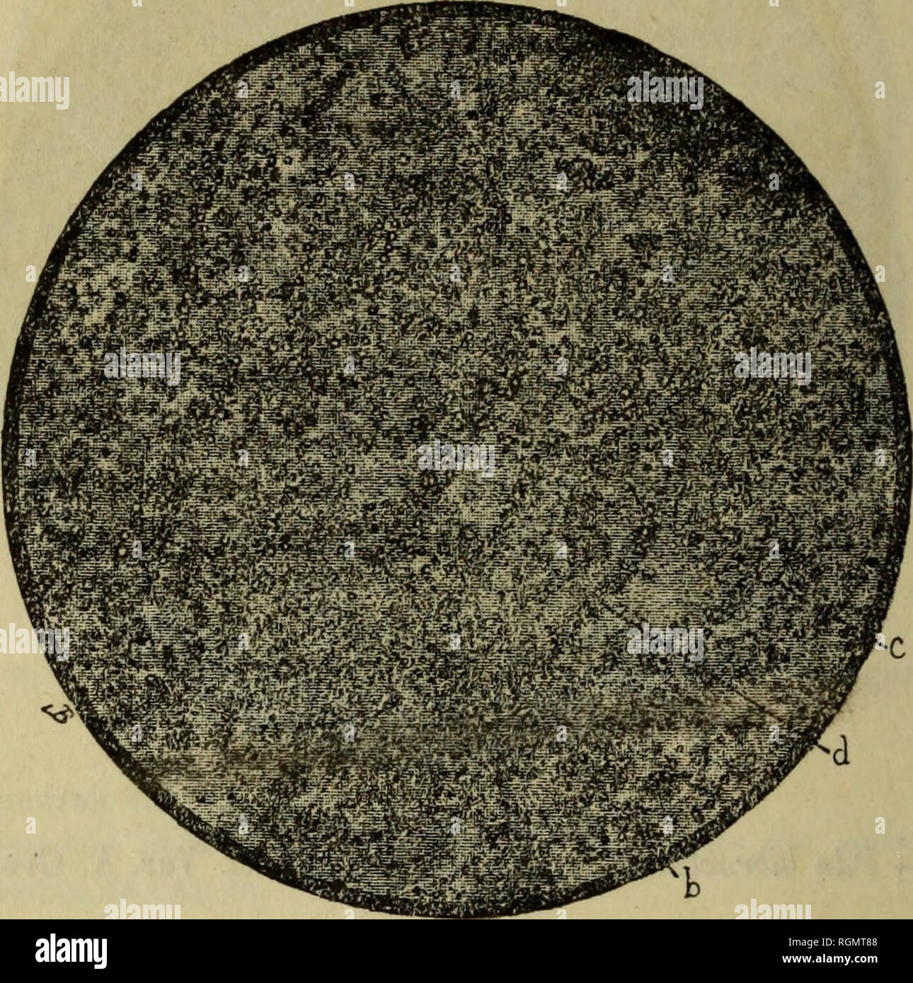 imperméabilité tente