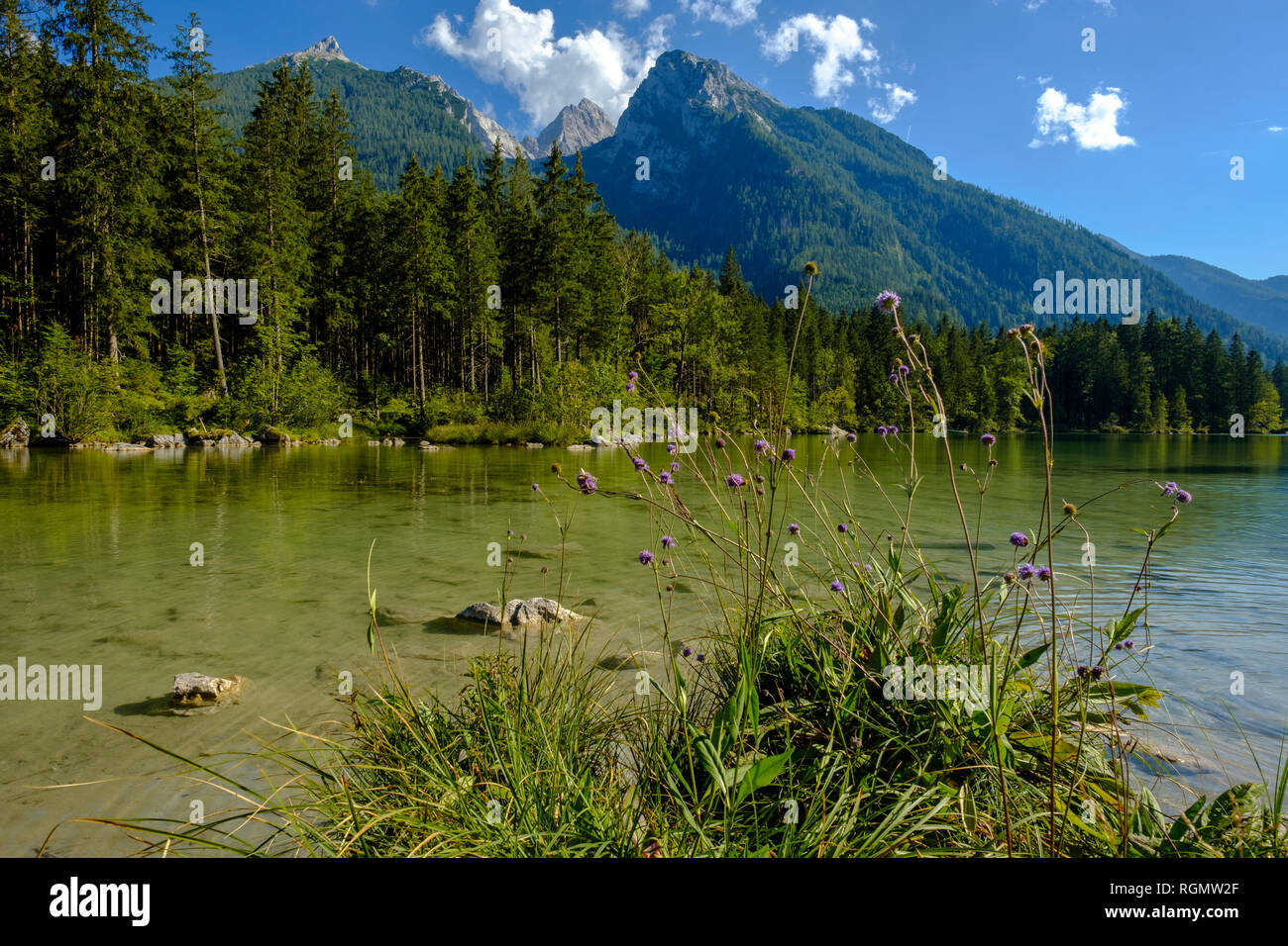Germany, Bavaria, Upper Bavaria, Berchtesgadener Land, Ramsau, Berchtesgaden National Park, Lake Hintersee, Hochkalter mountain Stock Photo