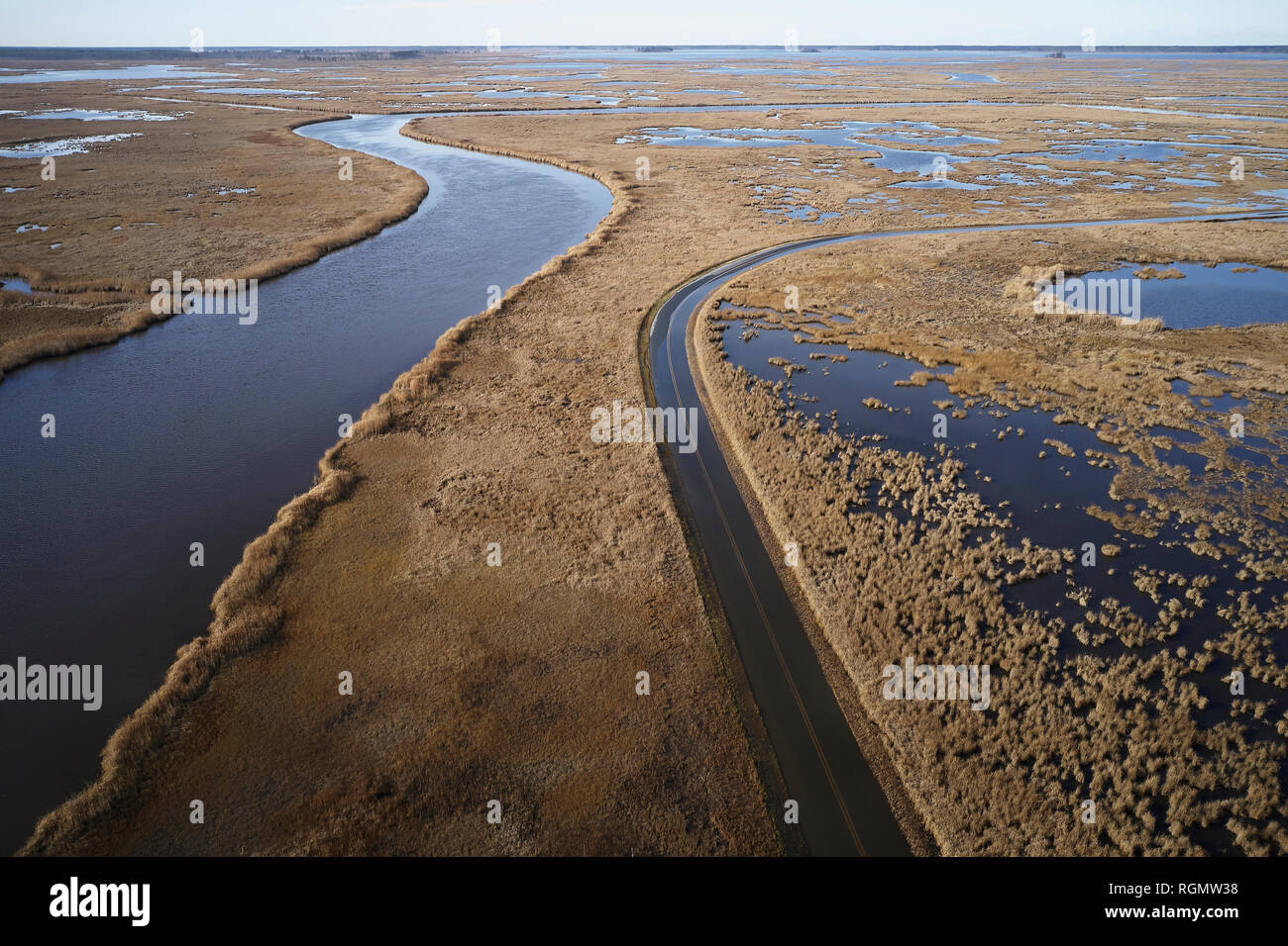 USA, Maryland, Cambridge, High tide flooding from rising sea levels at Blackwater National Wildlife Refuge Stock Photo