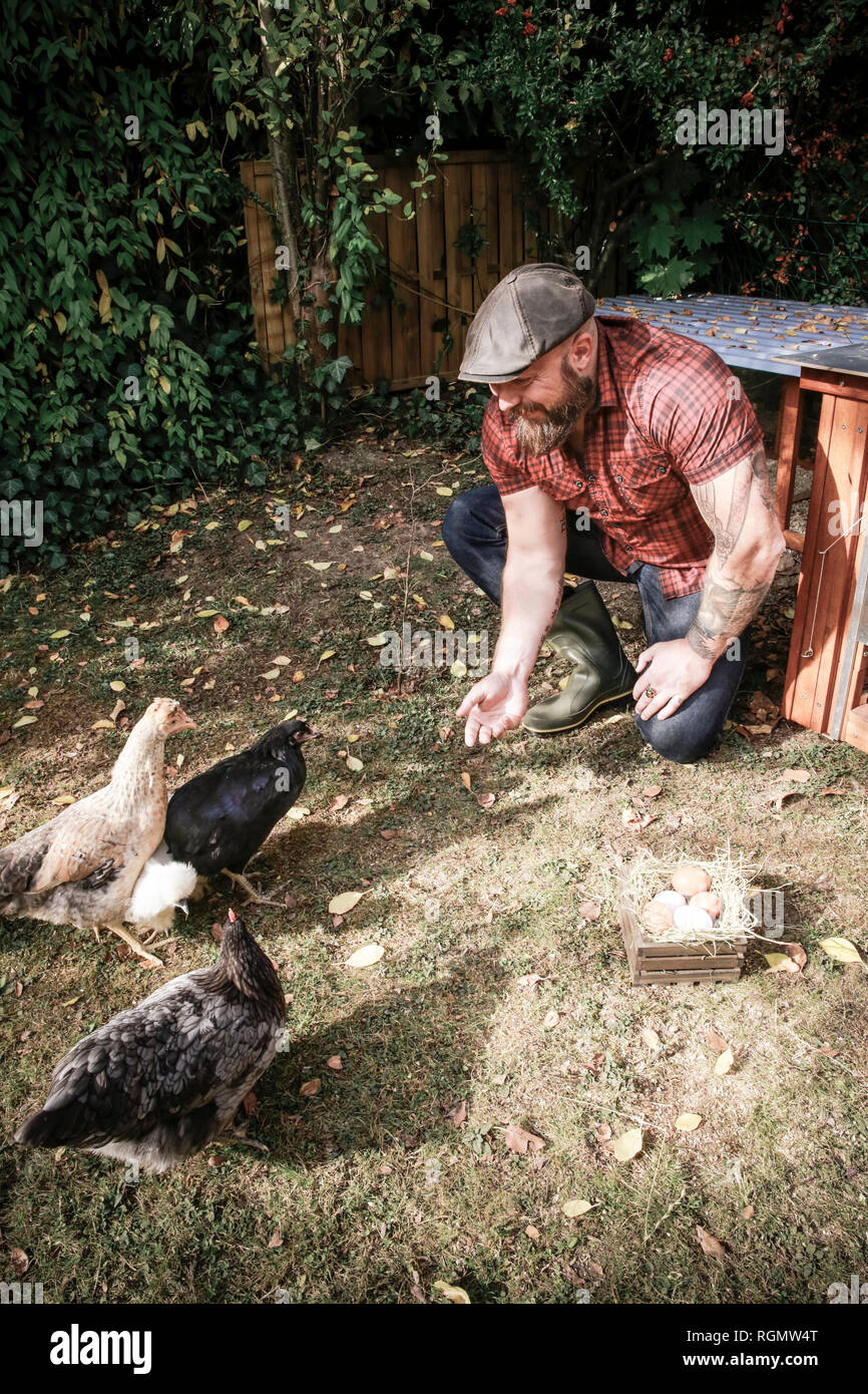 Man in his own garden, man feeding free range chickens Stock Photo