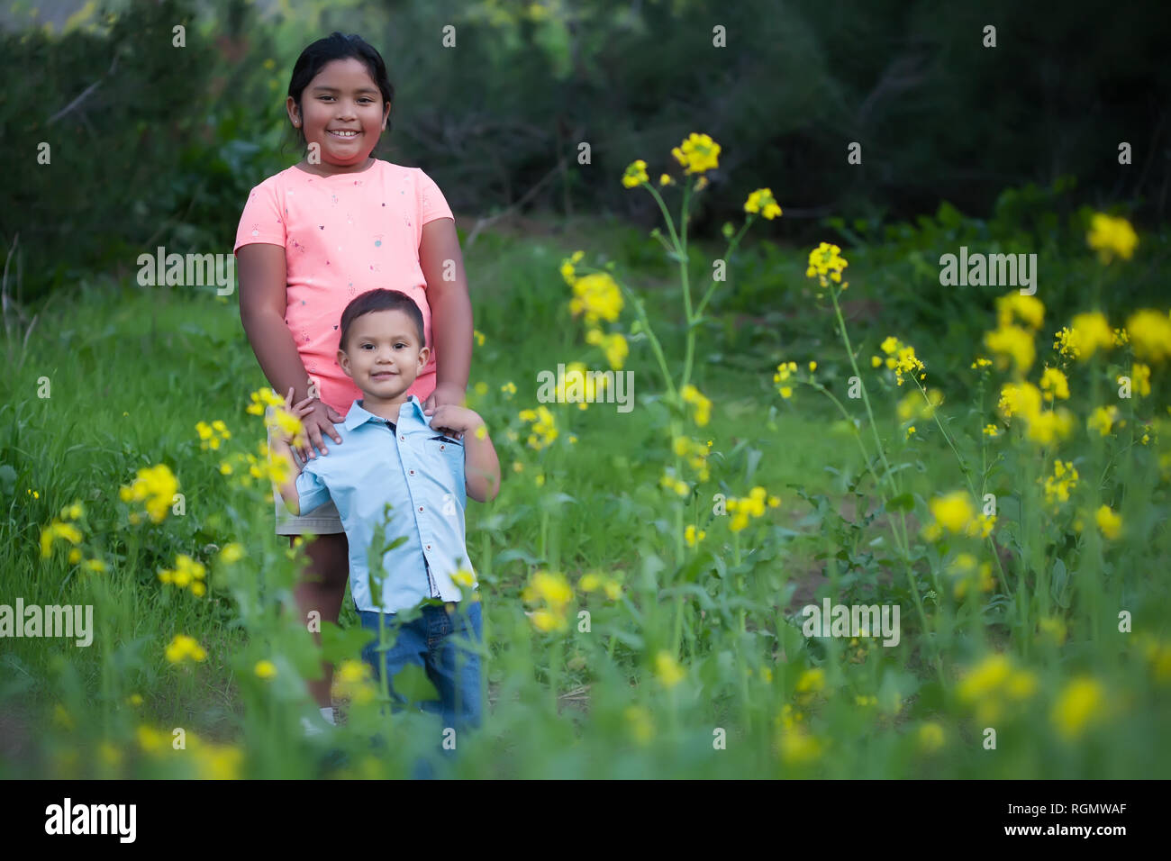 A big sister standing behind her little brother in a field of yellow flowers and green wild grass. Stock Photo