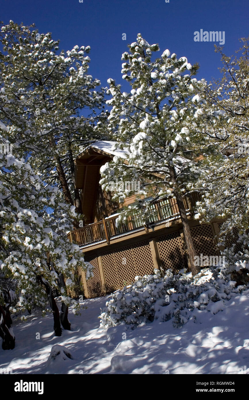 A View Of A Cabin In The Woods Surrounded By Trees Covered In Snow