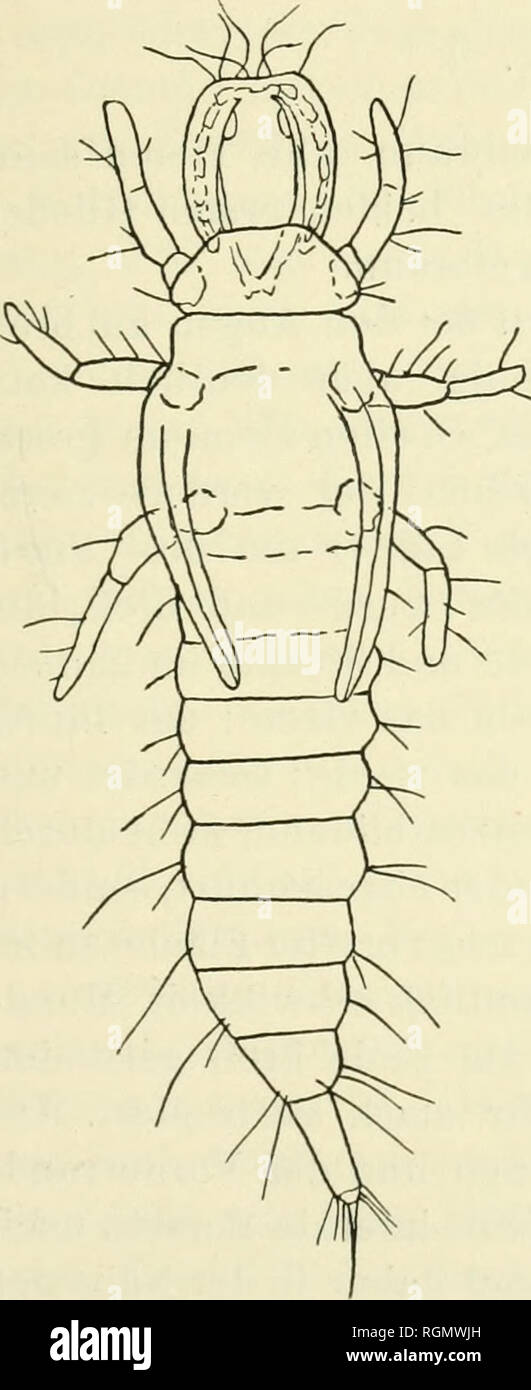 Page 7 V Spec High Resolution Stock Photography And Images Alamy