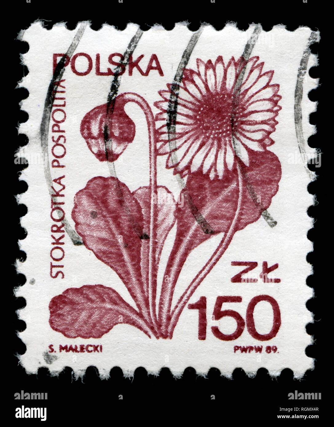 Postage stamp from the Poland in the Medicinal Plants series issued in 1989 Stock Photo
