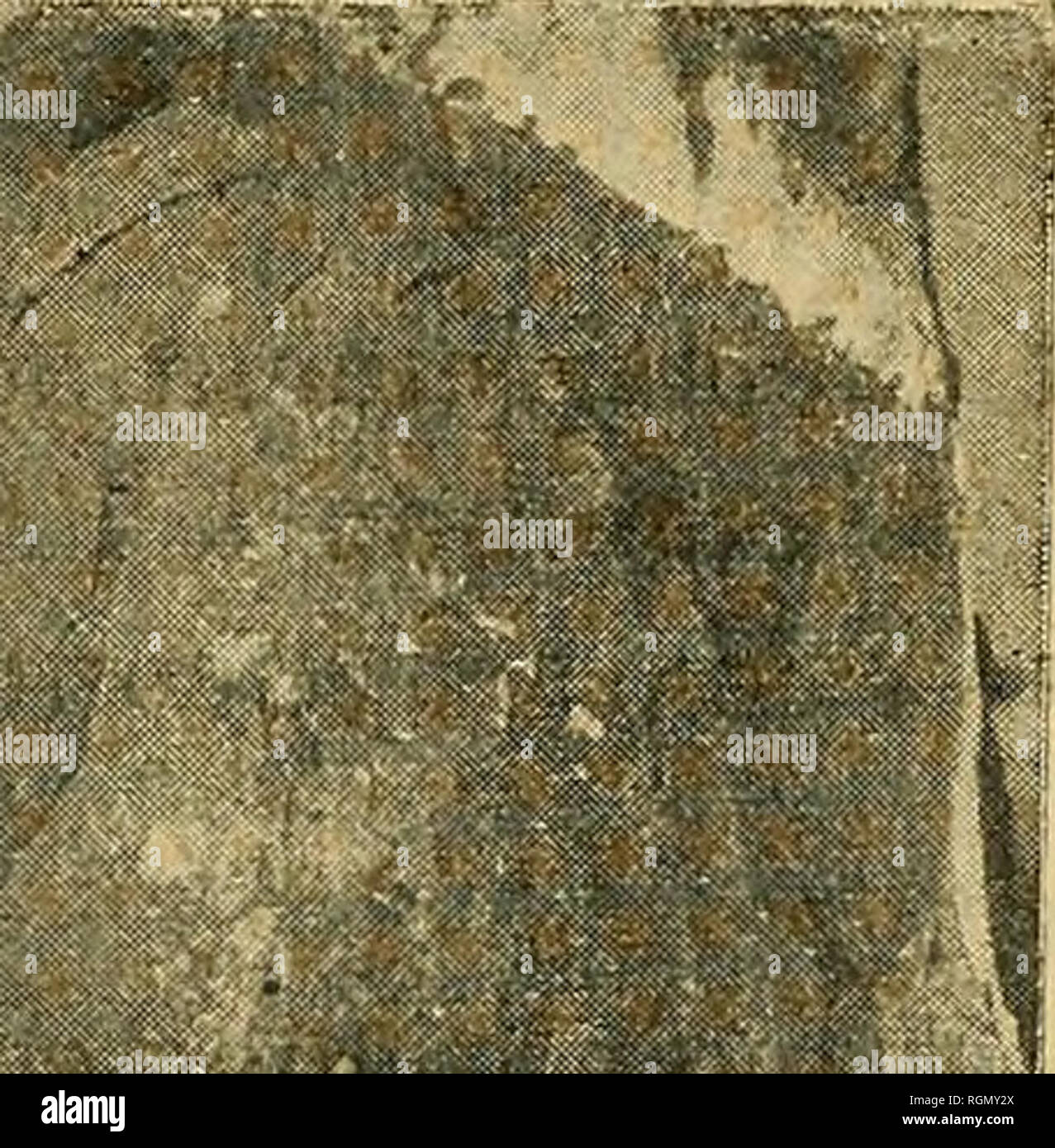 Maroc Stock Photos Maroc Stock Images Page 32 Alamy