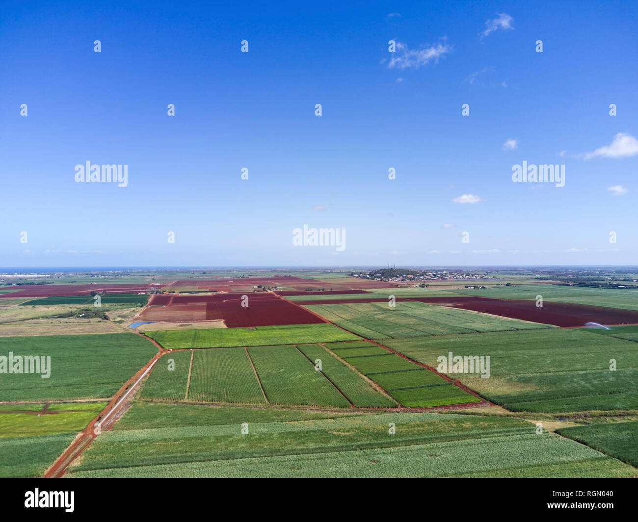 Rich fertile volcanic red soil growing sugar cane surrounds Bundaberg