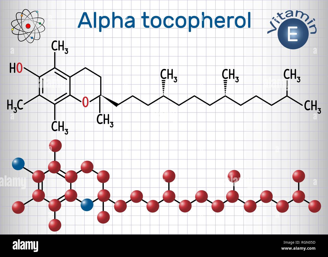 Alpha tocopherol ( vitamin E) molecule. Structural chemical formula and molecule model. Sheet of paper in a cage. Vector illustration Stock Vector