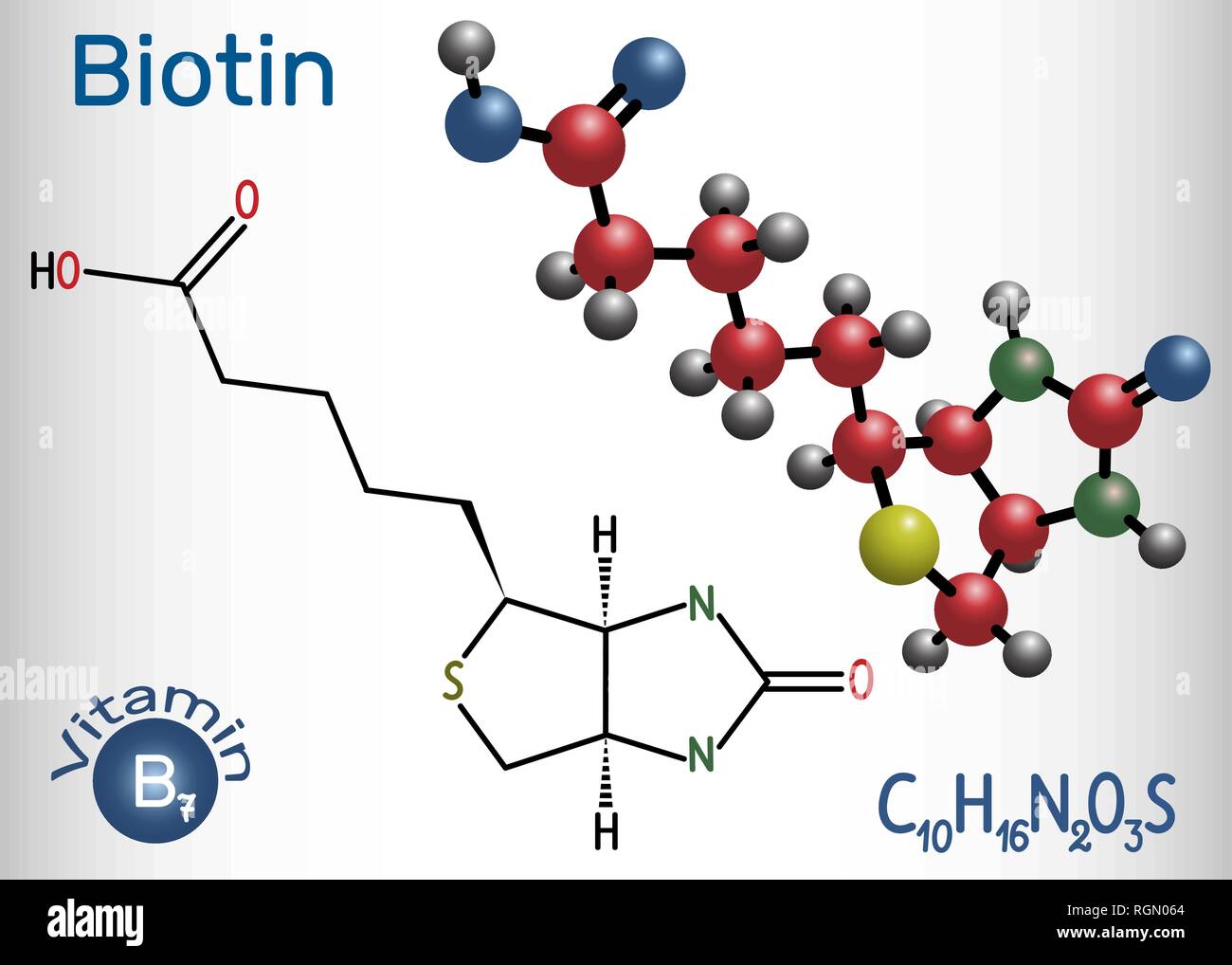 Biotin (vitamin B7). Structural chemical formula and molecule model. Vector illustration Stock Vector