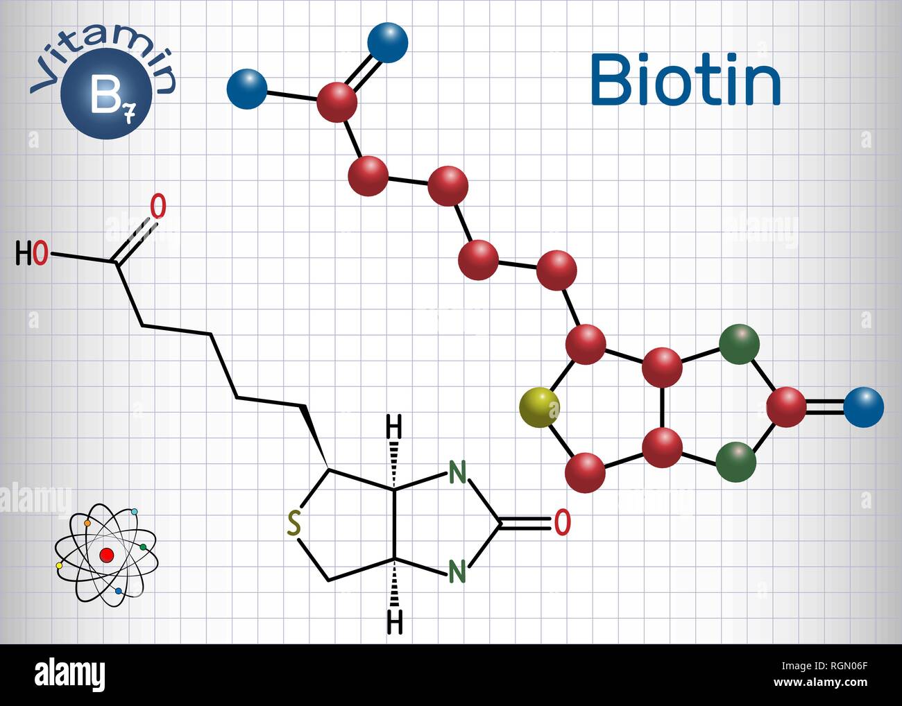 Biotin (vitamin B7). Structural chemical formula and molecule model. Sheet of paper in a cage. Vector illustration Stock Vector