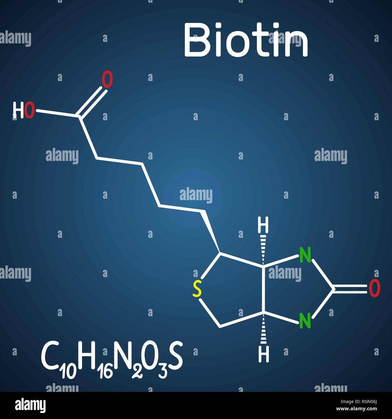 Biotin (vitamin B7). Structural chemical formula and molecule model on the dark blue background. Vector illustration Stock Vector